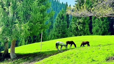 享受山脉和河流的美丽并欣赏人文主义情感 - 新