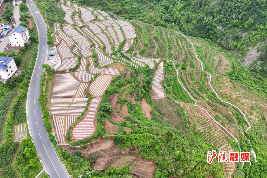 DJI_20231030204532_0154_D.MP4_20250522_154936.896 - 副本 - 副本.jpg