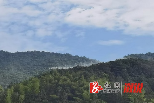 飞防500X333.jpg