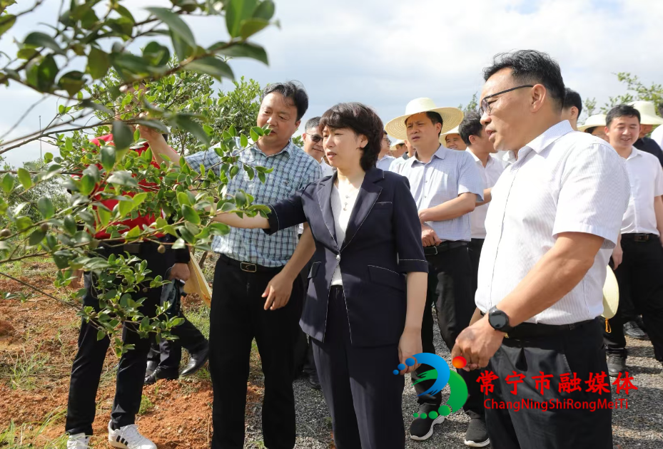 常宁召开全市油茶产业高质量发展现场推进会 邓艳红参加.jpg