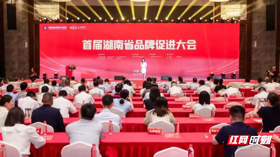 微信图片_20250526175859.jpg