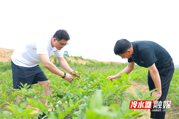 微信图片_20250527091144.jpg