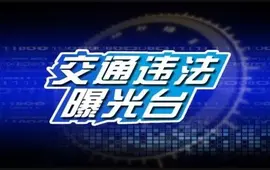 新晃县重点交通违法曝光统计表