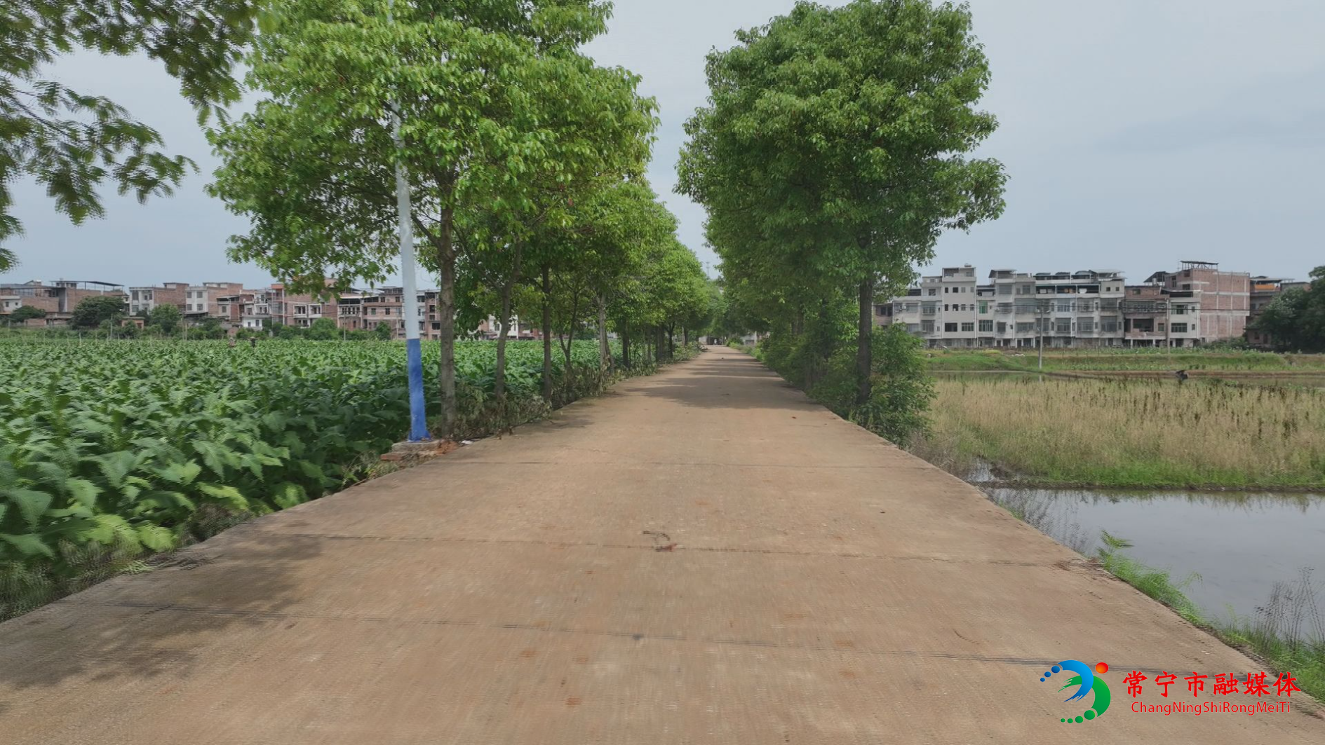 20250527蓬塘新田村7.jpg