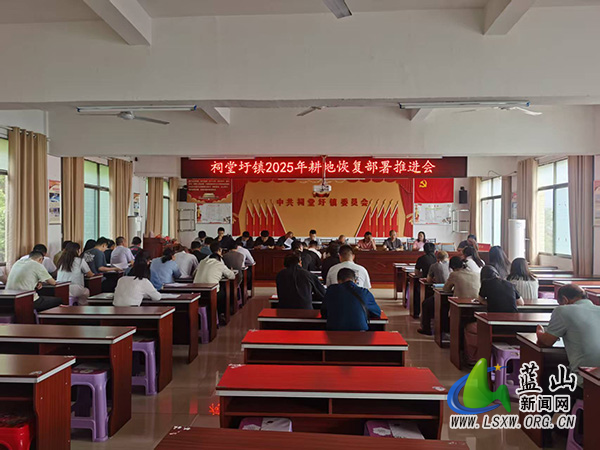 祠堂圩镇召开2025年耕地恢复工作推进会.jpg