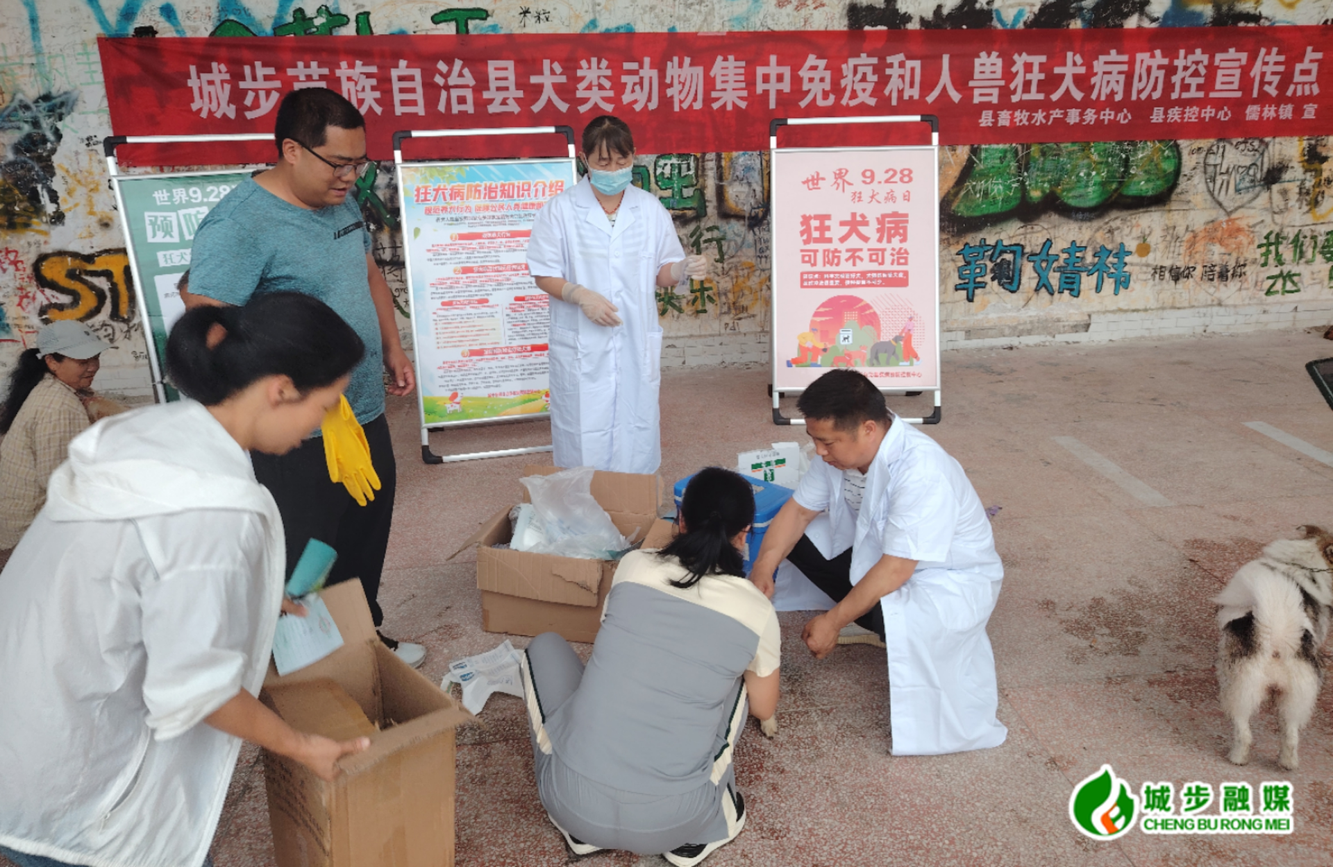 城步开展犬类集中免疫与人畜狂犬病防控宣传(图2)