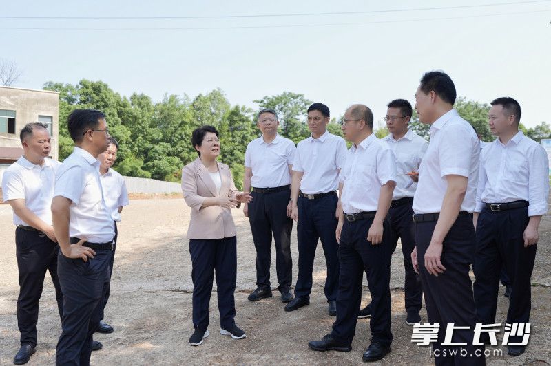 5月26日，省委常委、市委书记吴桂英专题调研重大基础设施项目建设推进情况，现场了解长吉高速长沙至安化段项目进展。