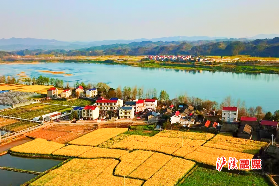 图片1.png 图片1.png