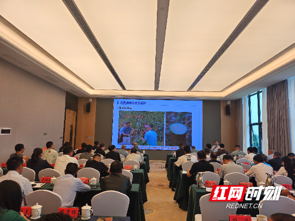 微信图片_20250528143345.jpg