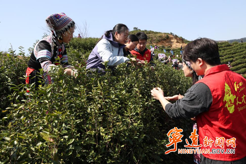 宁远：激活人才“三支队伍”点燃科创引擎_副本500.png