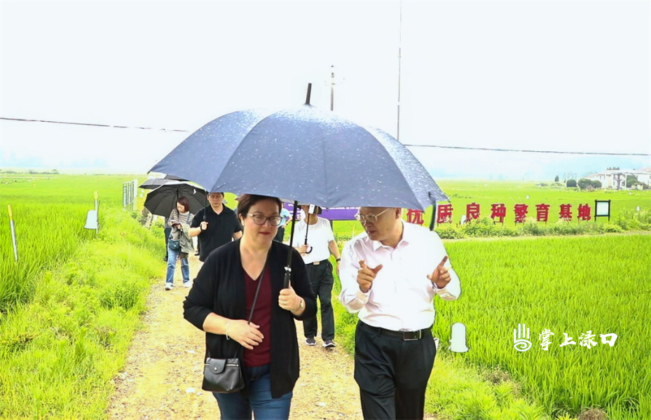 微信图片_20250528172920.jpg