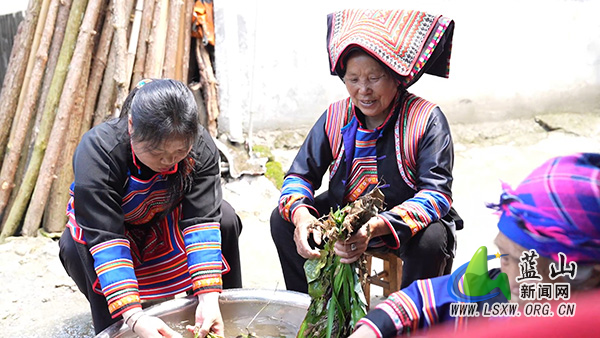 湘江源瑶族乡：药浴飘香迎端午 民俗传承暖人心.jpg