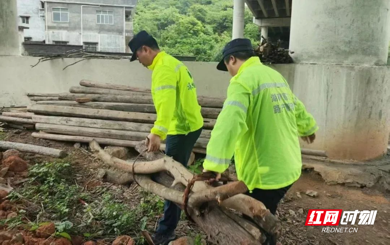 雨停我不停.jpg