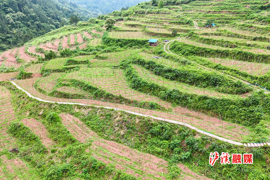 DJI_20231030225703_0177_D.MP4_20250530_142111.735.jpg