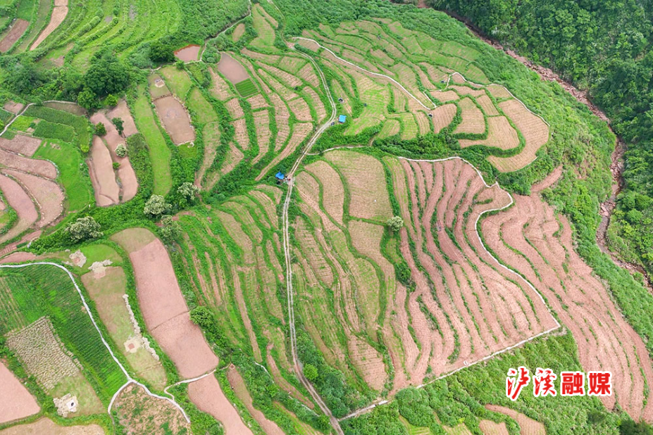 DJI_20231030230212_0185_D.MP4_20250530_142149.141.jpg