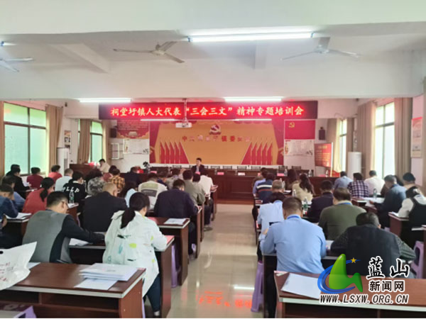 祠堂圩镇组织召开“三会三文”精神专题培训会.jpg