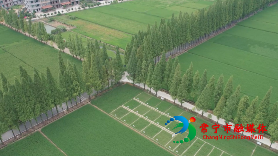 全国“十大最美农村路”渔罗公路：串起乡村振兴致富链.jpg