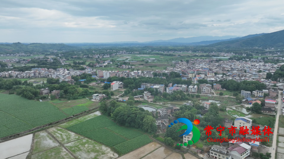 西南村1.jpg