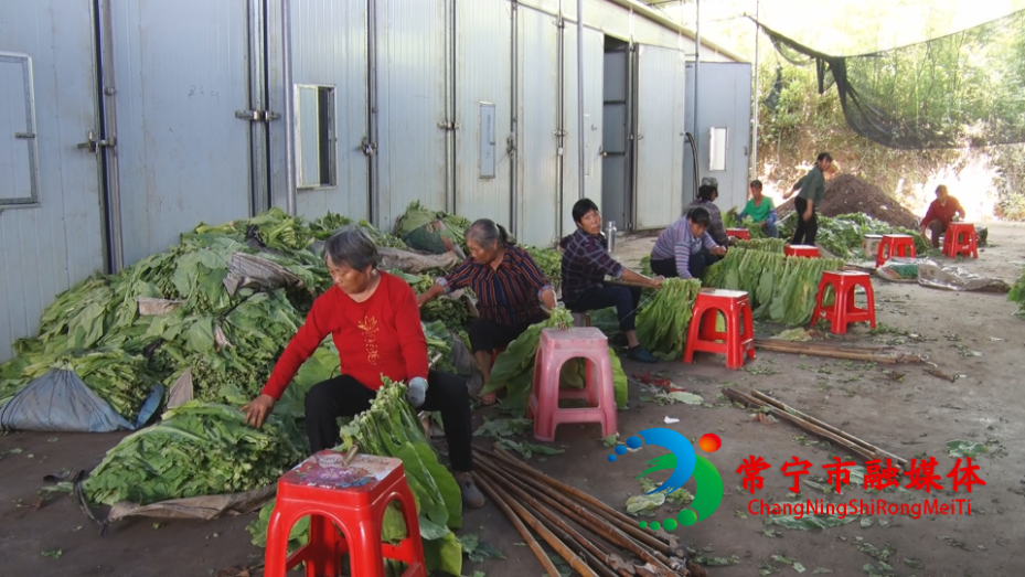 六图 (8).png