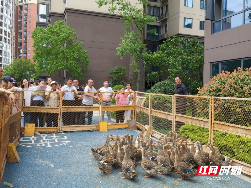 微信图片_20250530225025.jpg