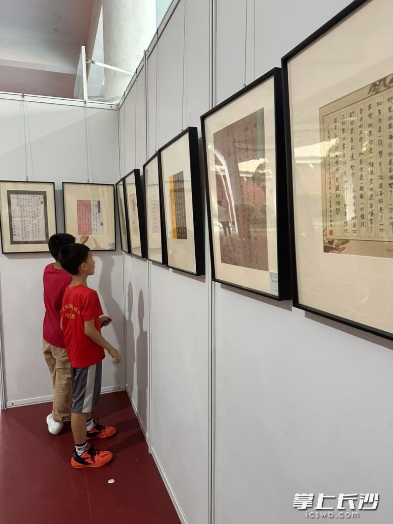 学生认真观看作品。均为主办方 供图