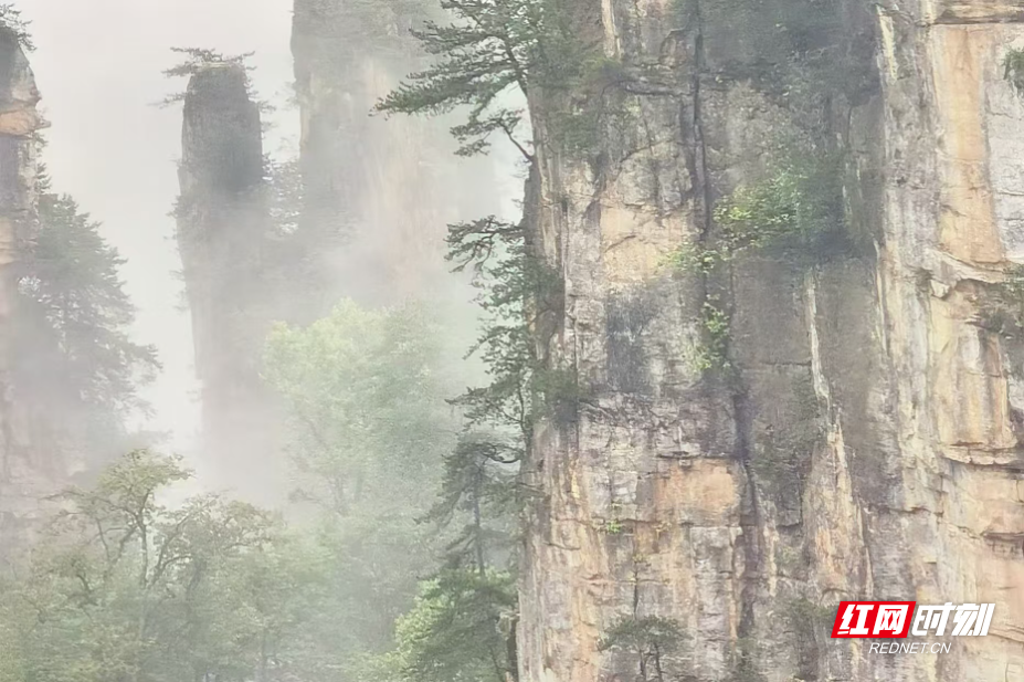 微信图片_20250602095928.jpg
