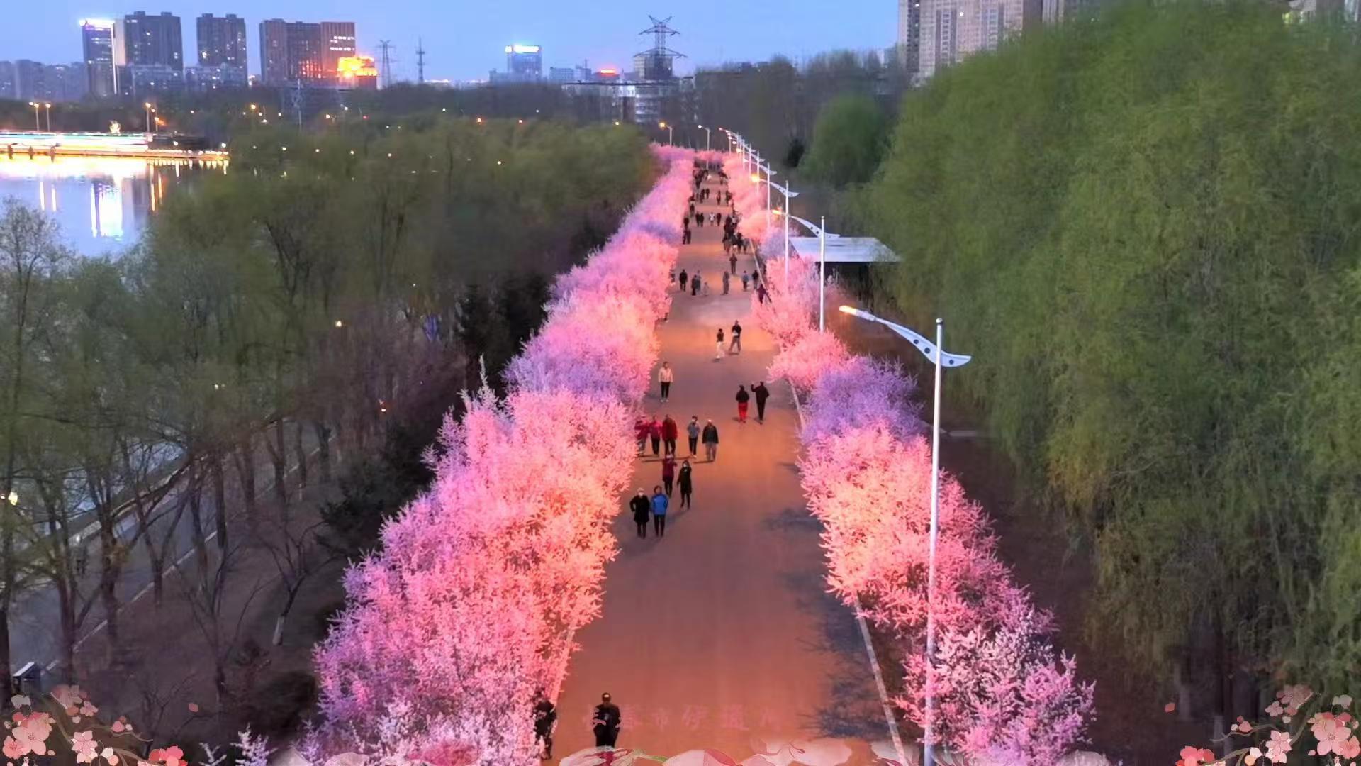 场景如何改变场景 -   - 吉林的“鲜花观看之旅”