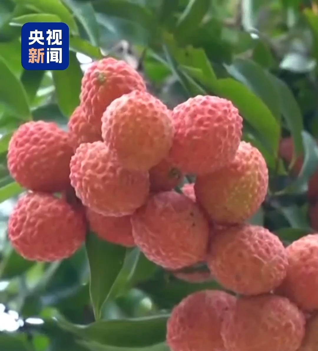 “广东”达到了一个新的水平丨有成千上万的水