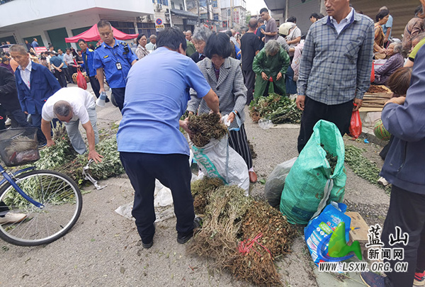 蓝山:端午期间不打烊 规范药草交易保畅通.jpg 蓝山:端午期间不打烊 规范药草交易保畅通.jpg