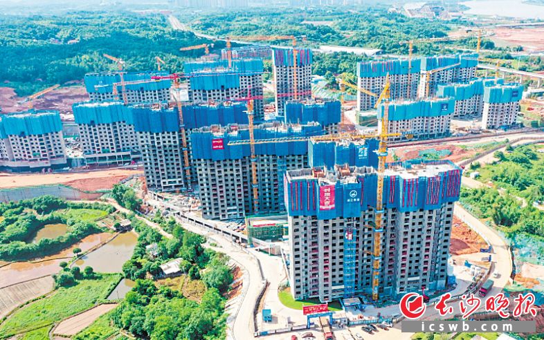 　　日前，湘江科学城双湖家园四标段5个楼栋已全部完成封顶。 长沙晚报通讯员 徐坤 供图