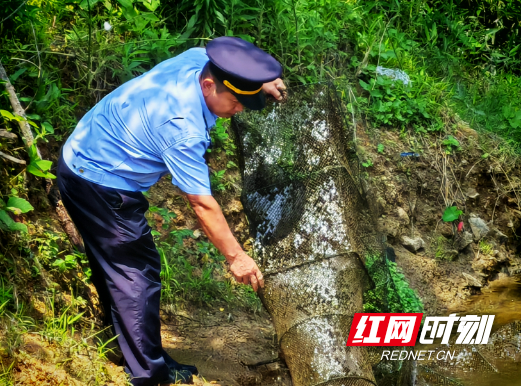 QQ20250603-160227.png