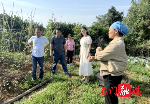 微信图片_20250604153042.png