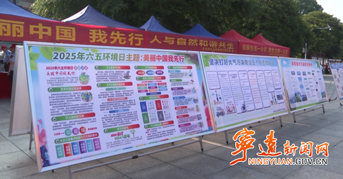 宁远举办“六·五”世界环境日主题宣传活动_副本500.png