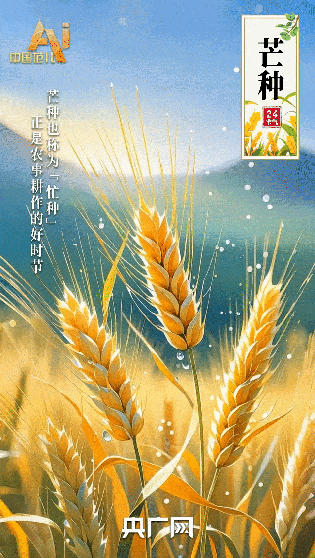 中国智慧在太阳术语中｜有东西可用，而th -4种子