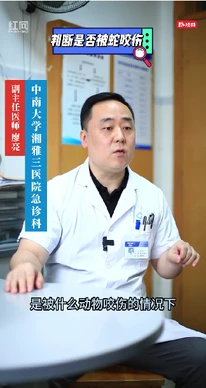 被毒蛇咬伤怎么办？