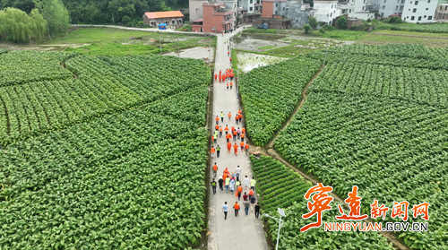 寧遠開展綜合防汛應(yīng)急演練活動1_副本500.png