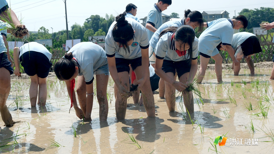 微信圖片_20250606215036.png