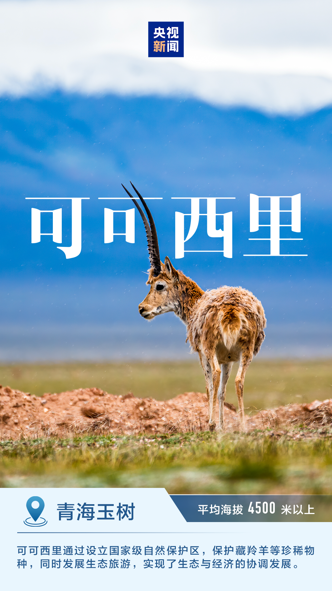 明亮而有吸引力的人 - 纳