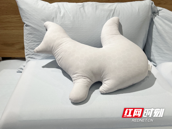 抱枕.jpg
