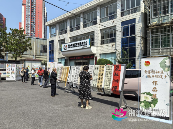 青春绘社区・魅力绽莲乡-信息稿552.png