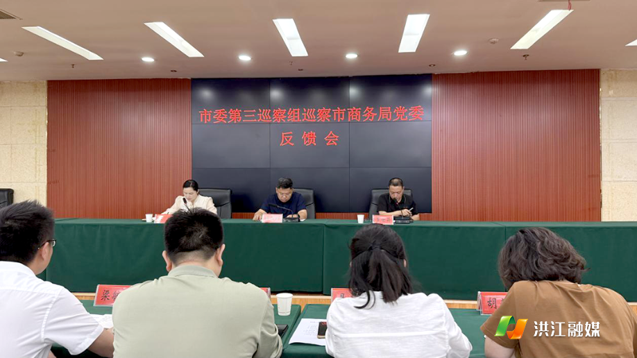商务局巡察.png