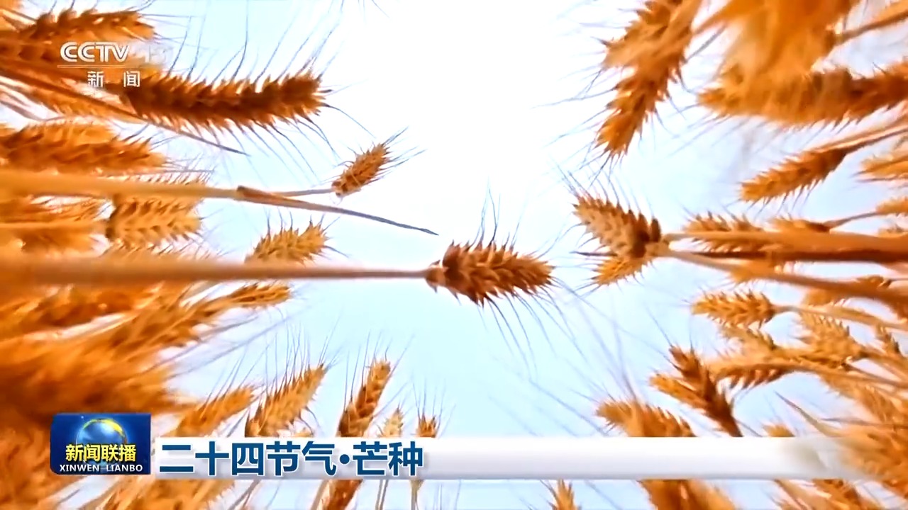 文化中国巡回赛丨太阳能二十四个任期