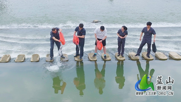 以法为盾筑屏障——永州市中级人民法院、蓝山县人民法院联合守护绿水青山的“六个一”答卷5.jpg