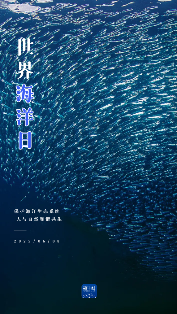 十年，再次见到这大海