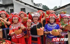 回龙圩：邂逅一场甜蜜之约