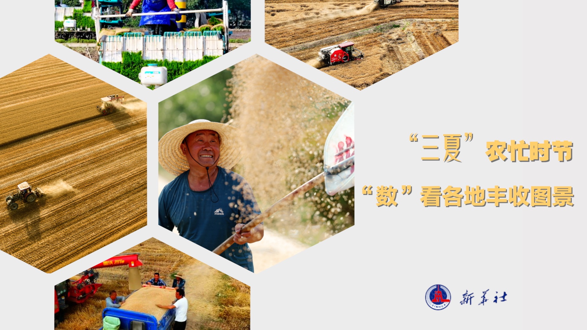 微观视频｜繁忙的“三个夏天”的繁忙时期是“