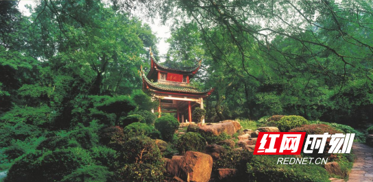 QQ20250610-135500.png