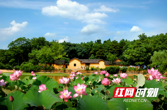 QQ20250610-135539.png
