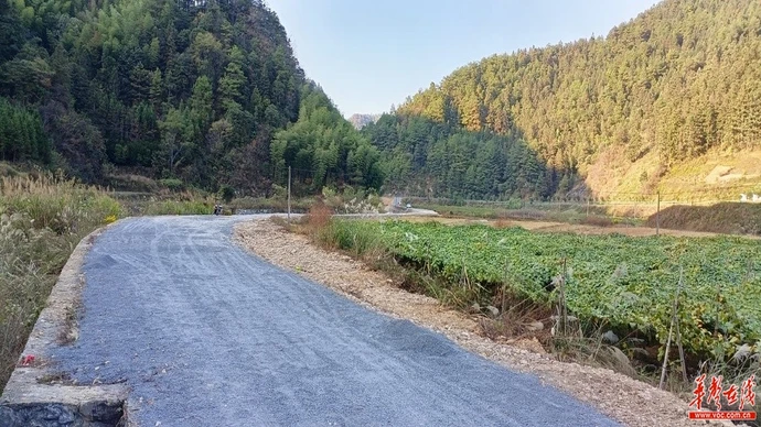 “盼你们常回家看看”——一场双向奔赴的乡村蝶变记
