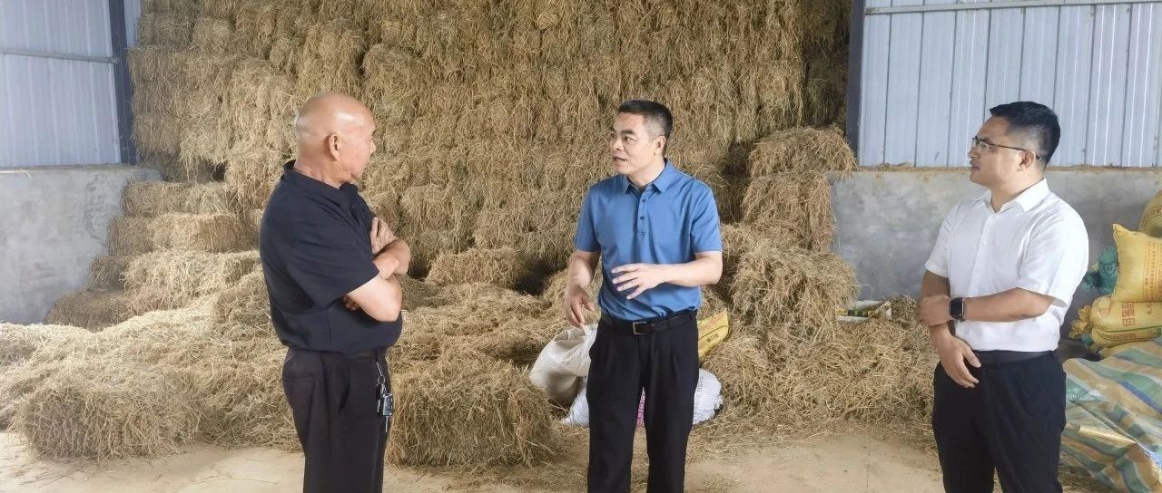 王建球调研秸秆综合利用工作